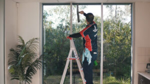 How Do Deep Cleaning & Regular Cleaning Differ?